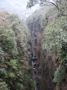 恩施峡谷间繁茂植被景观
