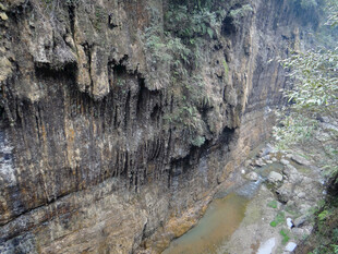 恩施峡谷溪流间的壮丽自然景观