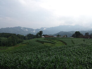 恩施乡村田野风光