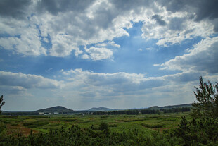 蓝天白云下的广袤田野