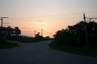 乡村黄昏小路景色