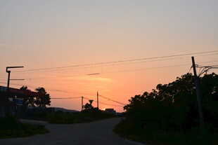 黄昏下的乡间小路与植被