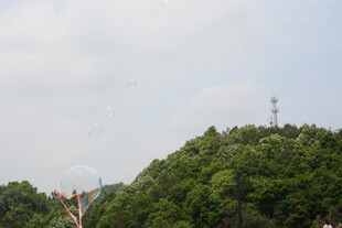 绿树成荫的户外景致