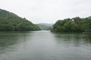 宁静河流与两岸葱郁山林