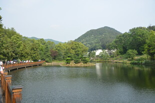 湖畔木桥旁的秀丽风光