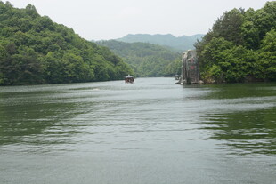 宁静河景 两岸绿树环绕