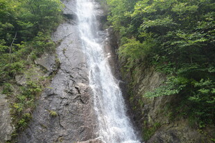 山间瀑布 绿意环绕之景