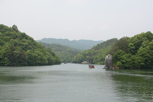 青山绿水间的宁静河道