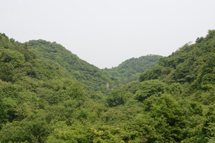 翠绿山峦 自然绿意美景