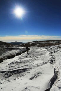 雪地蓝天 阳光照耀的美景