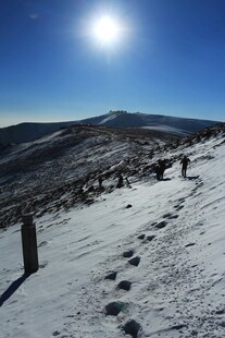 雪地足迹 阳光下的山间景致