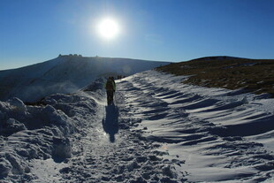 雪地徒步 阳光照耀的旅程