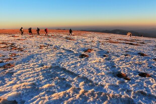 雪地徒步的人群