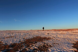 雪地旷野中的孤独身影