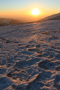 雪地夕阳下的美丽足迹