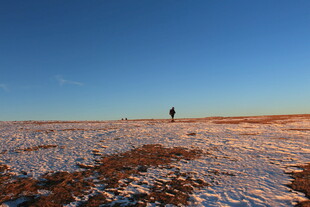 雪地中的孤独行者