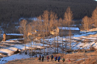 冬日雪地中的人群景观