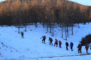 冬日山林徒步的人群
