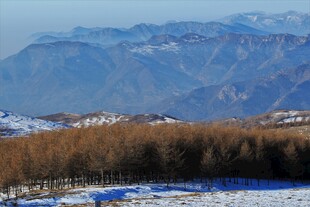 冬日雪覆山林远景