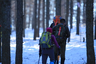 雪地林间徒步的欢乐人群