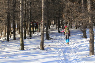 雪地林间的徒步者