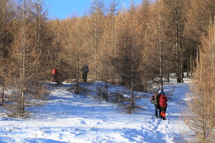 雪地林间徒步者