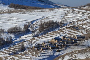 冬日雪覆下的静谧村落