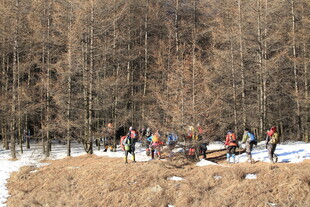 冬日雪地林间的人群活动
