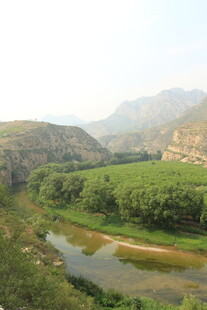 山间河流旁的葱郁景致