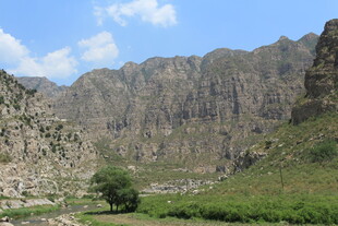 壮丽山景与绿意点缀