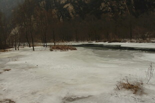 冬日雪地湖畔风景