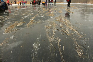 冰面人群 纹理独特景象