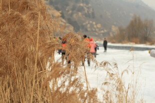 冬日河畔的户外人群景象
