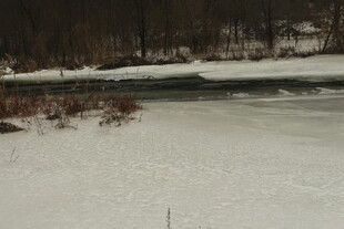 冬日雪景中的冰封河岸