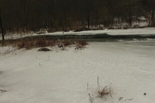 冬日雪景中的河岸风光