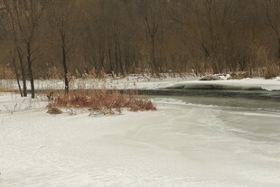 冬日雪覆河岸风景
