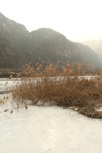 冬日河畔雪景与萧瑟草木