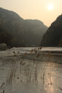 夕阳下的河畔湿地景观