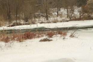 冬日雪覆河岸景致