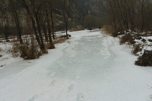 冬日雪覆林间小道