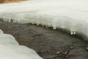 冰雪消融处的地面景象