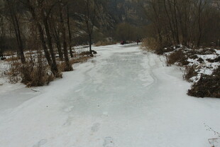 冬日雪覆林间小道