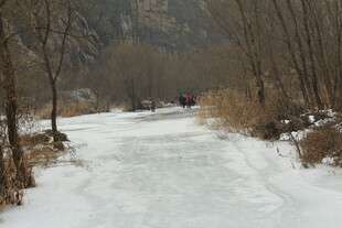 冬日冰封的林间小道