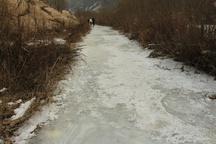 冬日结冰的乡间小道