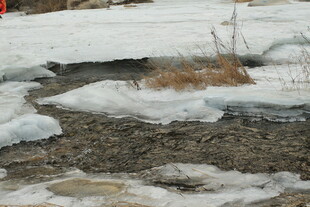 冰雪覆盖下的潺潺溪流