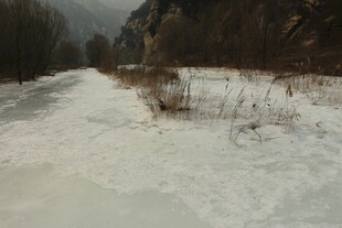 冬日雪地荒野景象