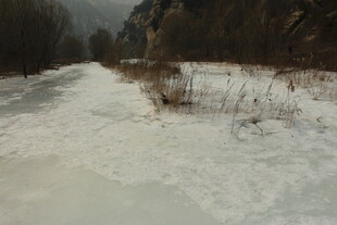 冬日雪覆小路的静谧景象