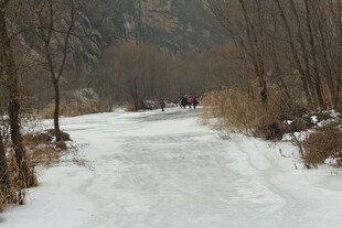 冬日冰封小路的静谧景象