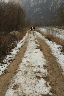 冬日乡间小路徒步景象