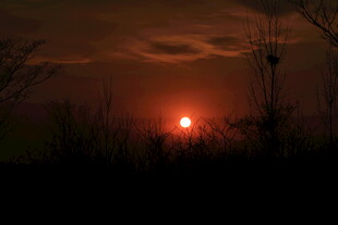 日落时分的静谧原野